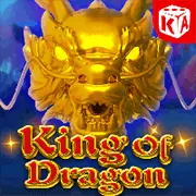 Hình ảnh tổng hợp các môn thể thao phổ biến được 12play phân tích