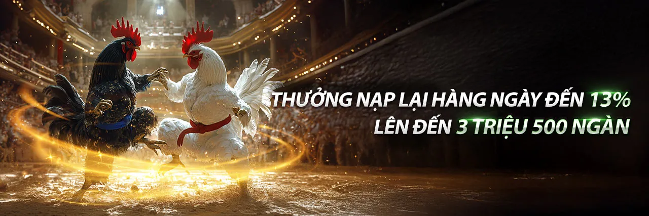 Đá gà trực tuyến 12play Trang Chủ Chính Thức